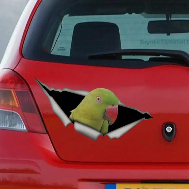 

2021 Indian Ringneck car decal, Indian Ringneck sticker, parrot decal