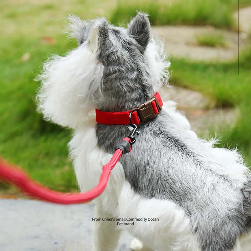

Good Quality Nylon Pet Outdoor Walking Supplies Reflective Dog Collar Adjustable Cat Traction Rope Dog Harness Dog Leash Dog Tag