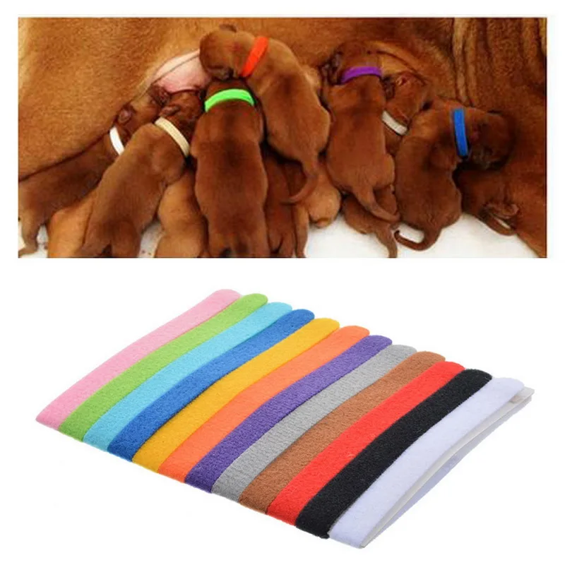 12 шт. цветной Мягкий регулируемый идентификационный ошейник для щенков ярлык