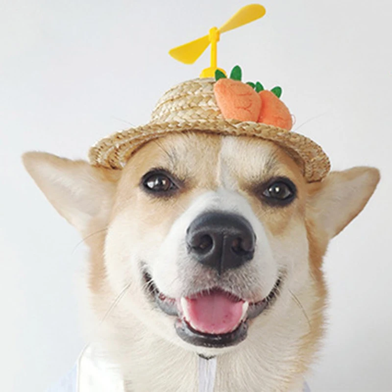 Соломенная шляпа для щенков и кошек милая Радужная плетеная Кепка в виде