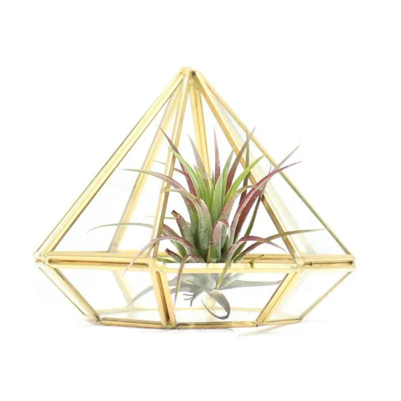 Золото открытое стекло геометрический Террариум Алмазный суккулент папоротник