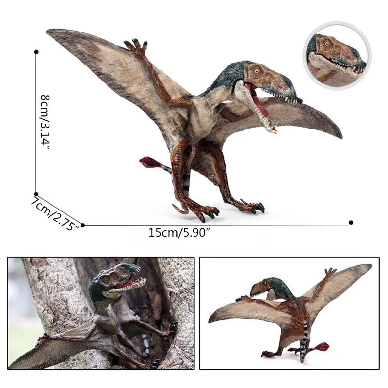 

1PC Realistic Dinosaur Toys Fly Pterosauria Decoration Party Props Model Toys K3NE