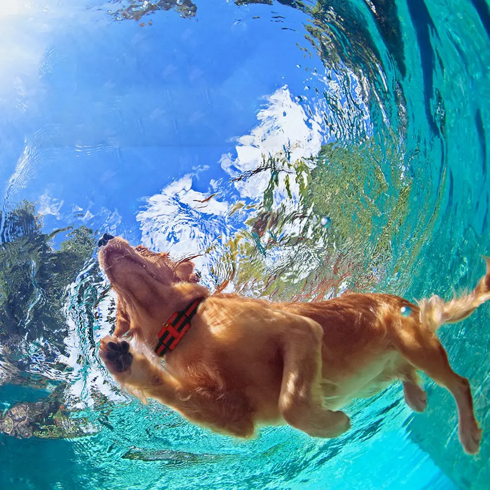 

500M Dog Training Collar Pet Electric Remote Control Collar Waterproof Rechargeable Dog Training Tool with LCD Display