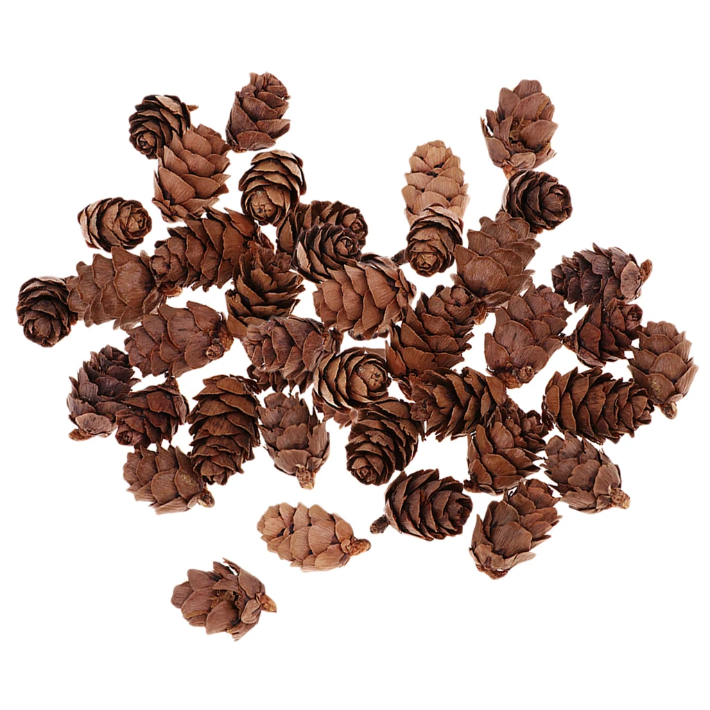 100x натуральный декоративный сосновый конус Pinecone для Рождественского украшения