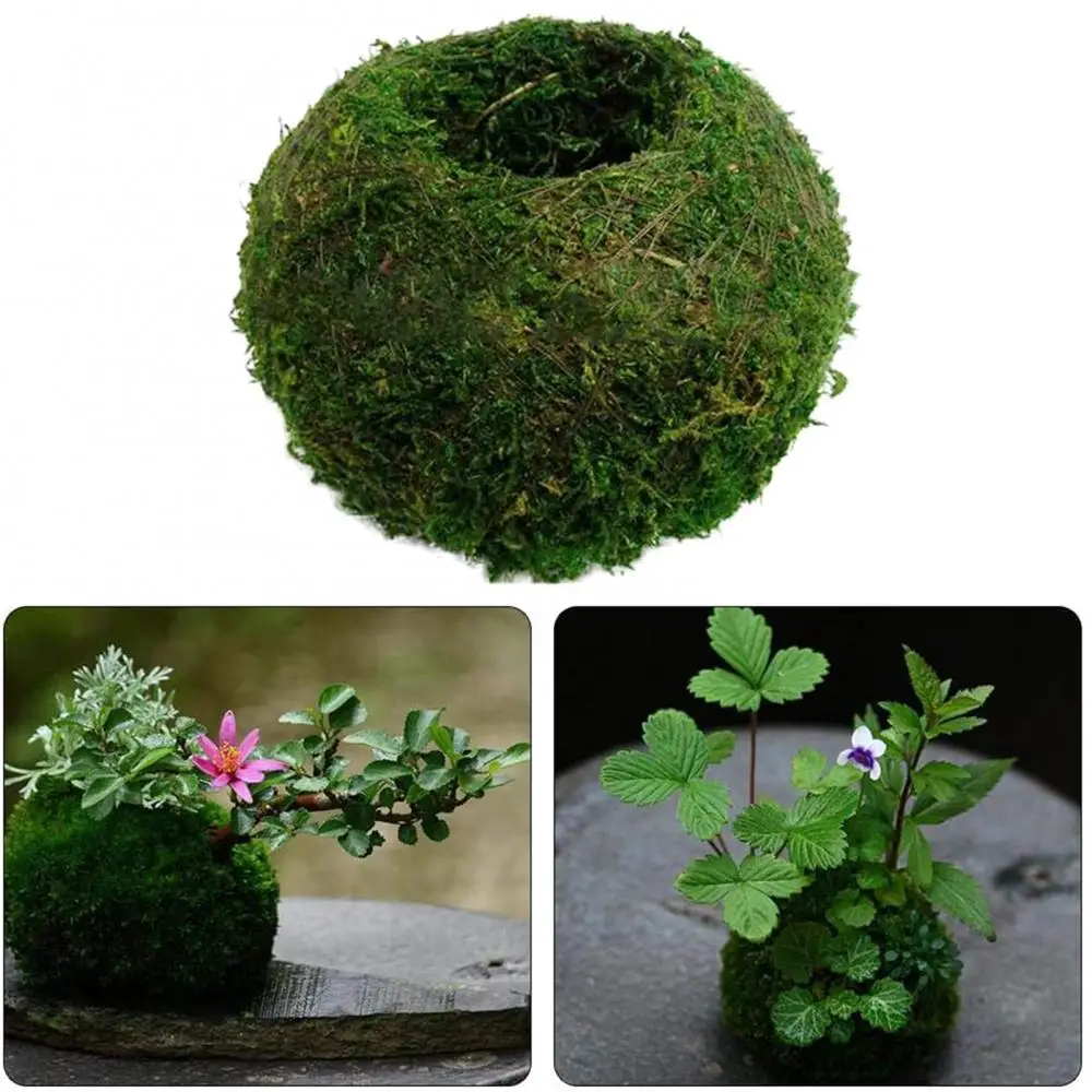 1 шт. цветочный горшок для растений | Дом и сад