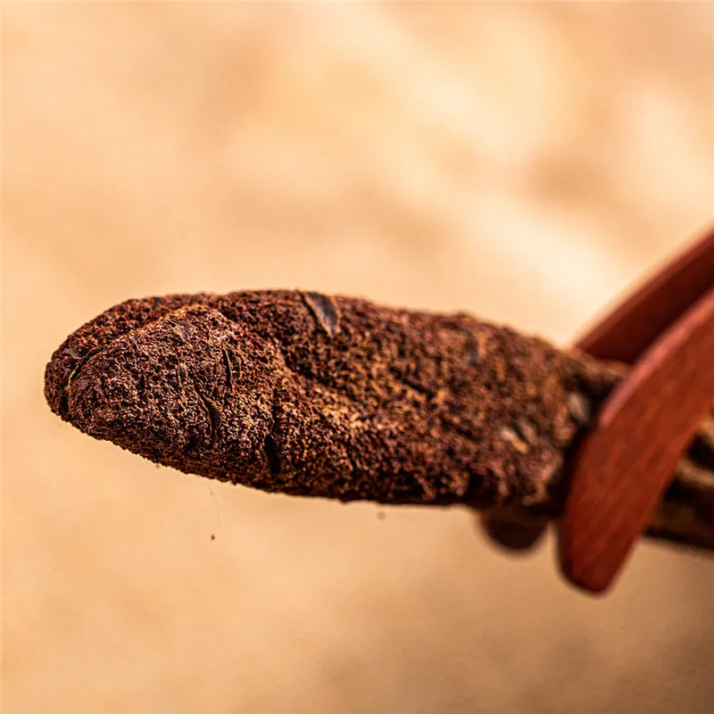 

Wild Dry Herb Cynomorium Root Suo Yang