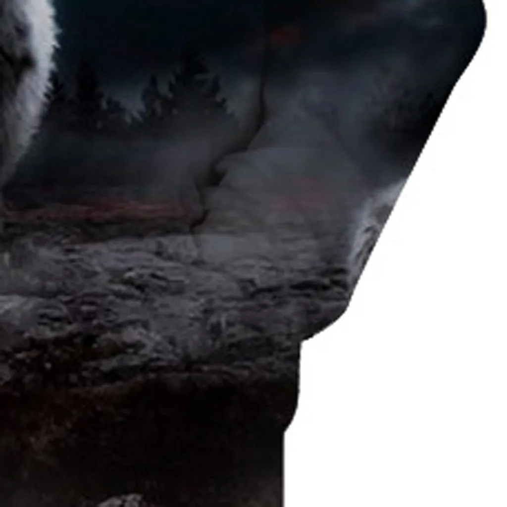 2019 мужская толстовка с капюшоном 3D принтом животных свободный свитер длинными