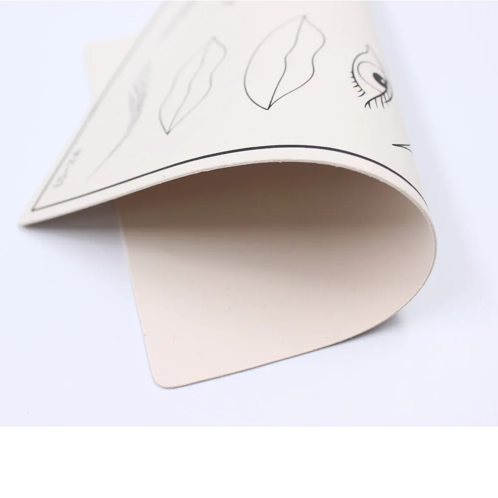 Набор для перманентного макияжа бровей и губ Biomaser аксессуар тренировки кожи