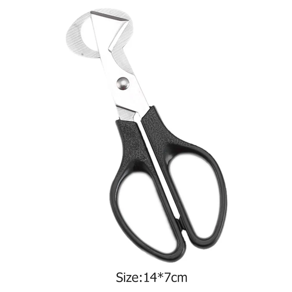 

Creative Stainless Steel Cut Whisk Egg Apparatus Pigeon Quail Egg Scissor Bird Opener Gen Eggshell Cutter Kitchen Tool Clipper