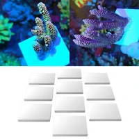 10pcs ceramic coral frag disks square plate coral bases supporting aquarium coral reef frags fish tank supplies