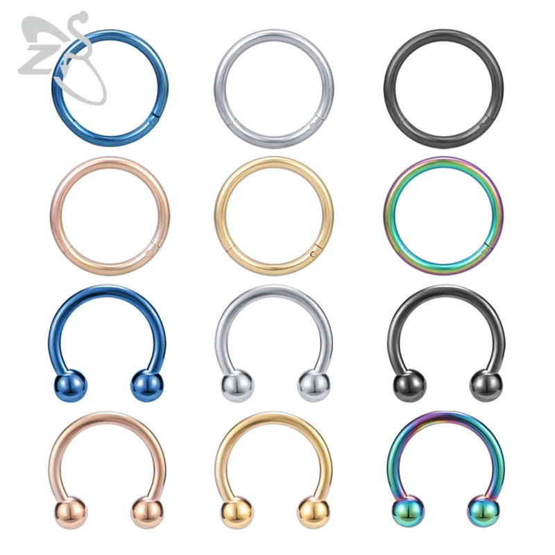 

ZS 12pcs 16G Nose Rings for Men 316L Stainless Steel Nose Ring Hip Hop Body Jewelry for Women Earrings Piercing Accessories