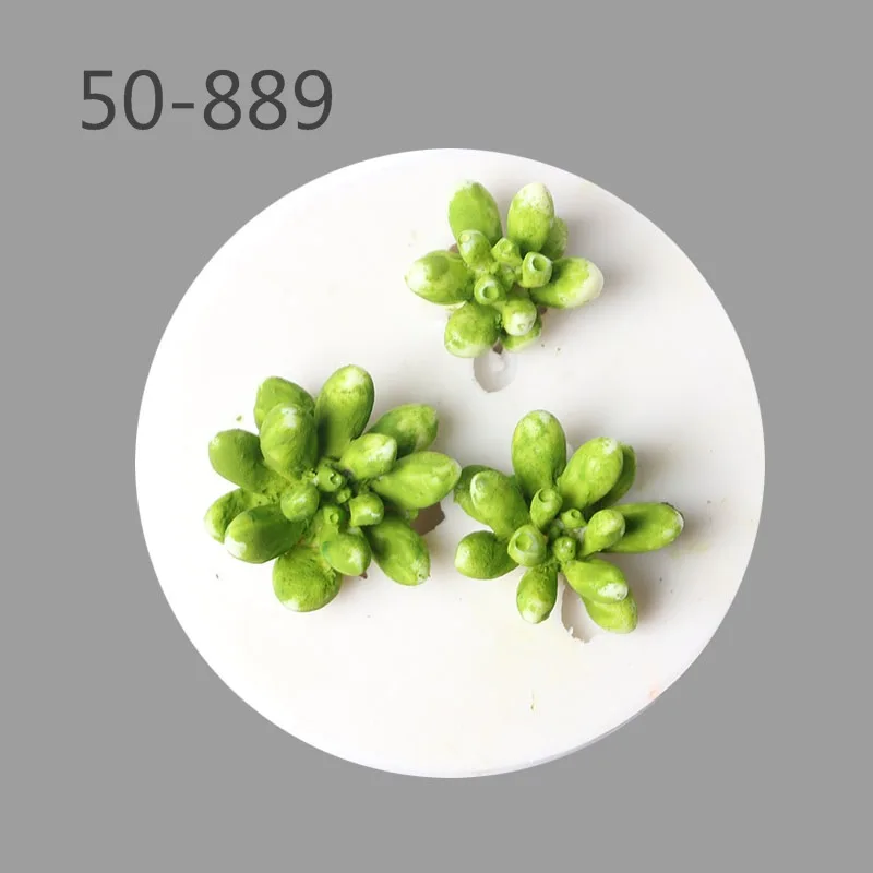 Различные стили суккулентов растений помадки торта силиконовая форма сделай сам