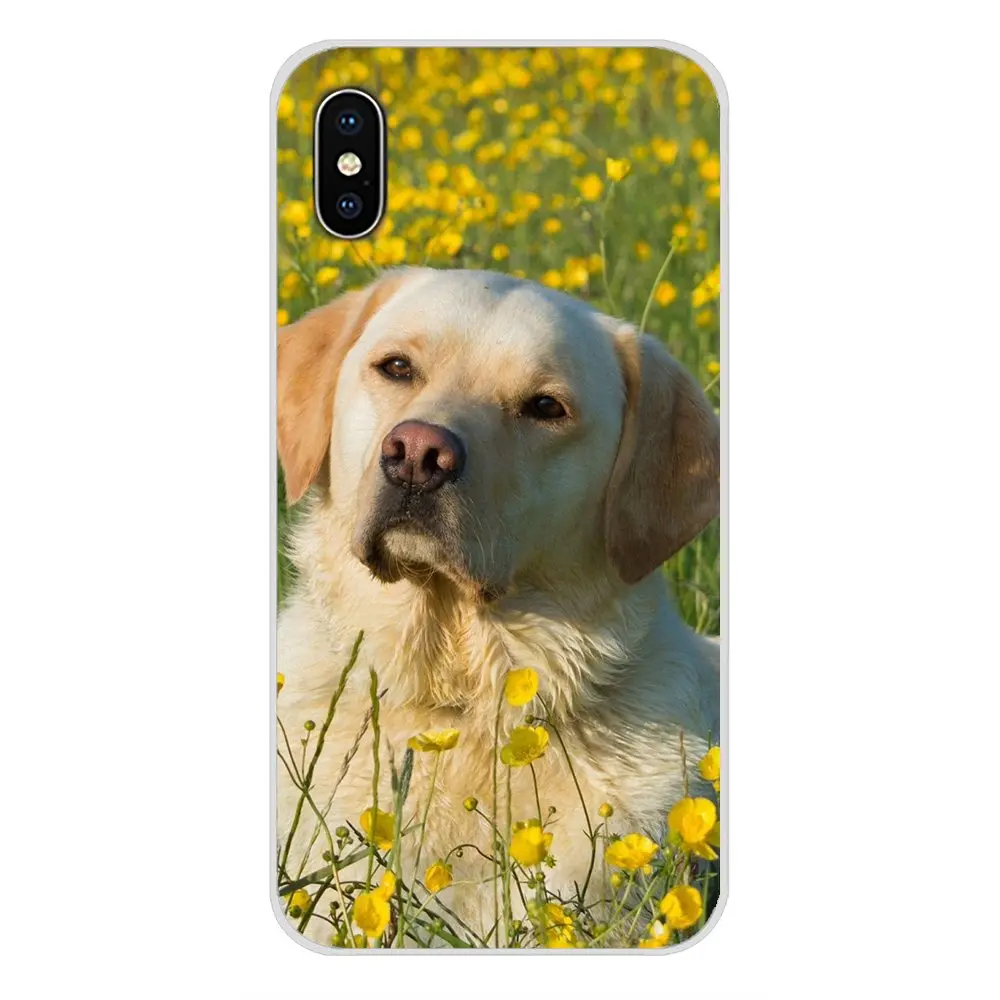 Аксессуары чехлы для телефонов Huawei Y5 Y6 Y7 Y9 Prime Pro GR3 GR5 2017 2018 2019 Y3II Y5II Y6II | Мобильные