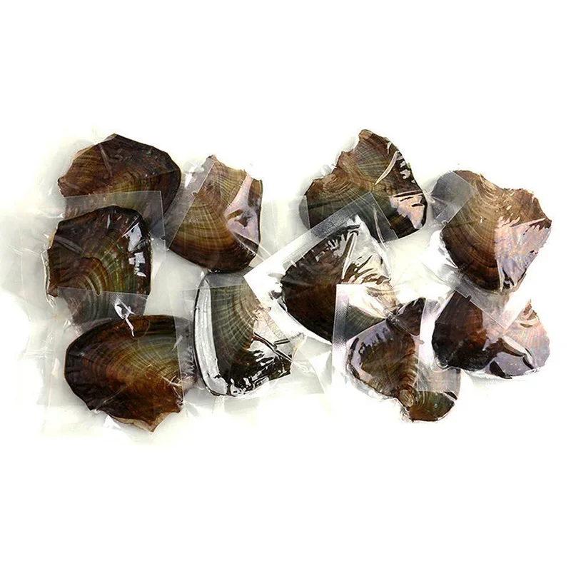 Индивидуальная упаковка для ювелирных изделий Oysters вакупосылка Упаковка 7-8 мм с