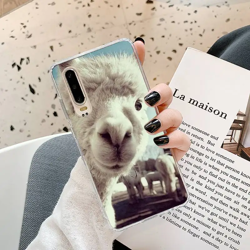 

Lama Llama Alpacas Animal Phone Case Transparent for Samsung A71 S9 10 20 HUAWEI p30 40 honor 10i 8x xiaomi note 8 Pro 10t 11