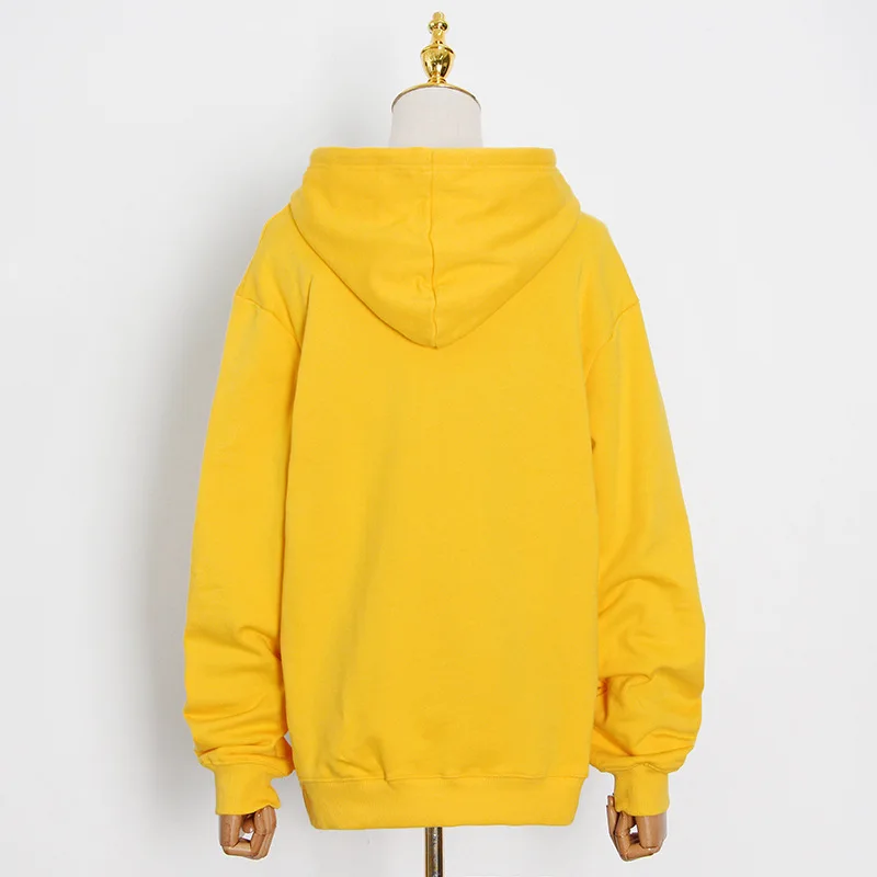 

High Quality New Casual Women Hoodie Sweatshirts Spring Fashion 2021 Oversize Pullovers Warm Pocket Hooded Solid Ladies Jacket