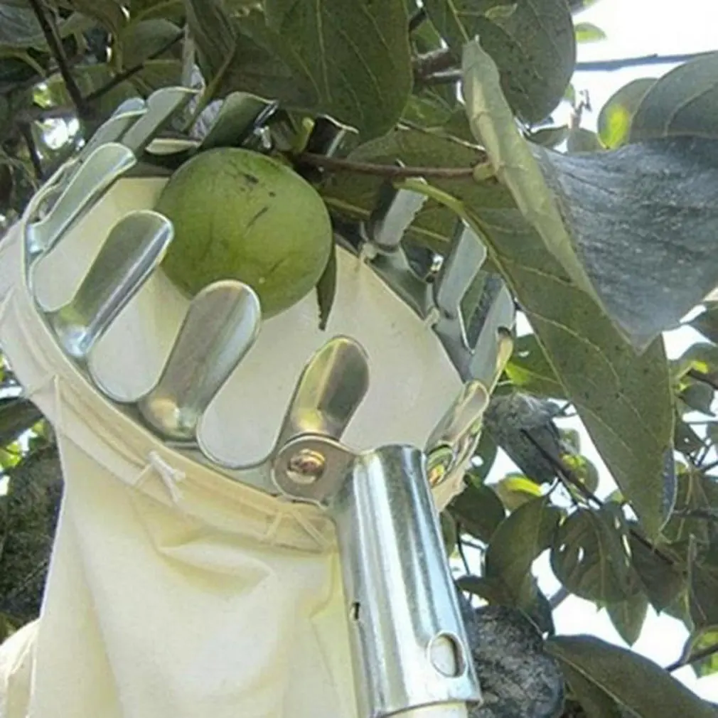 

Metal Fruit Picker Fruits Collection Picking Head Tool Gardening Apples Pears Peaches Oranges Fruits Catcher Garden Tools