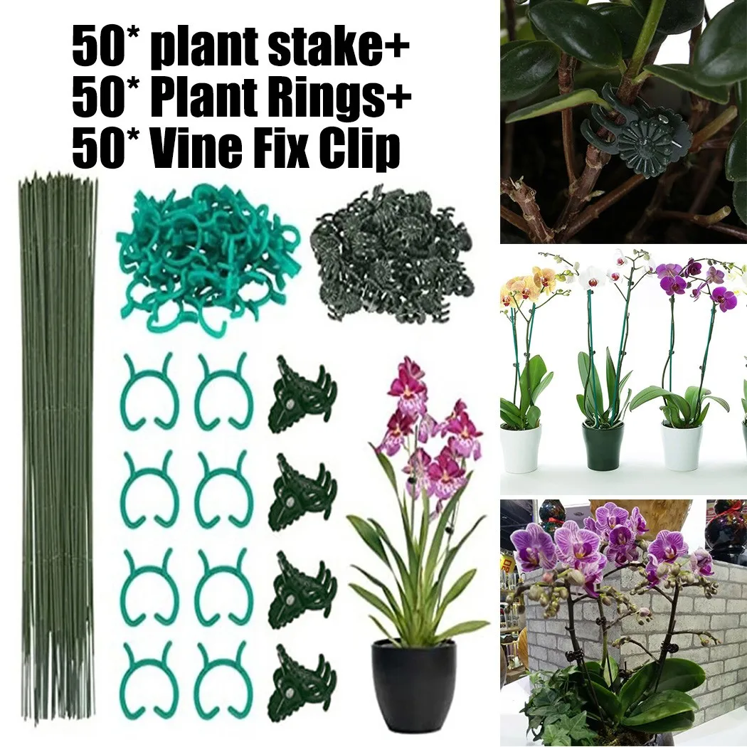 

Plastic Stem Clips Garden Mini Orchid Plant Support Stalks Flower Tools Outdoor Home Garden Plant Care Soil & Accessories