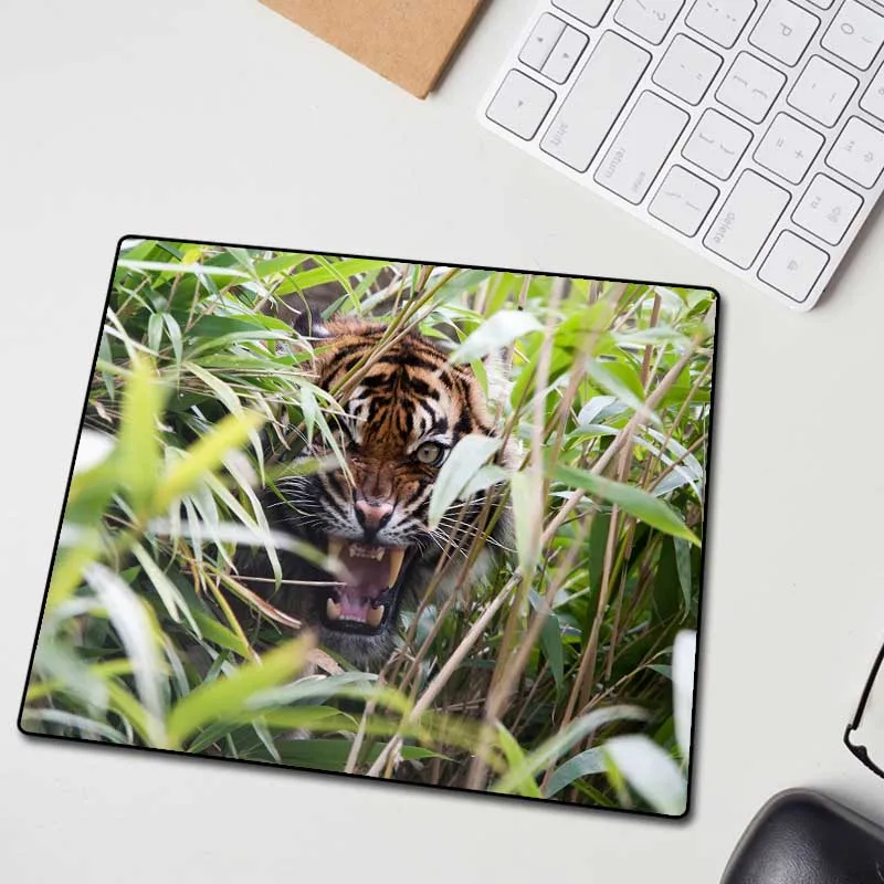 Большой эргономичный коврик XGZ с черной кромкой замком Бенгальский тигровый Рор