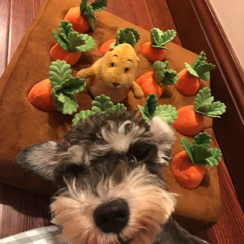 

Dog Plush Carrot Toy Snuffle Mat Pet Supplies And Accessories Dog Products House Dog Chew Toys For Aggressive Chewers Durable