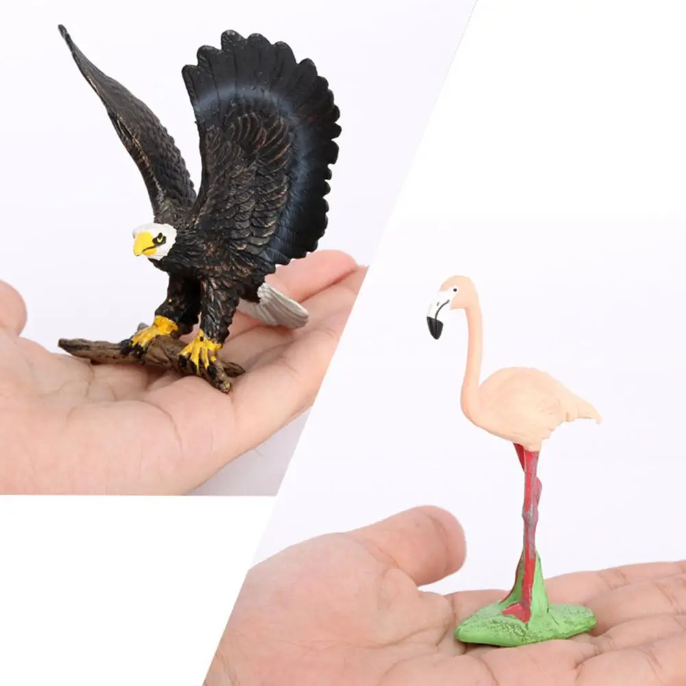 

6PCS Birds Figurines Playset Realistic Plastic Birds Figures Hand Painted Emulational Toy Set Birthday Gift For Kids