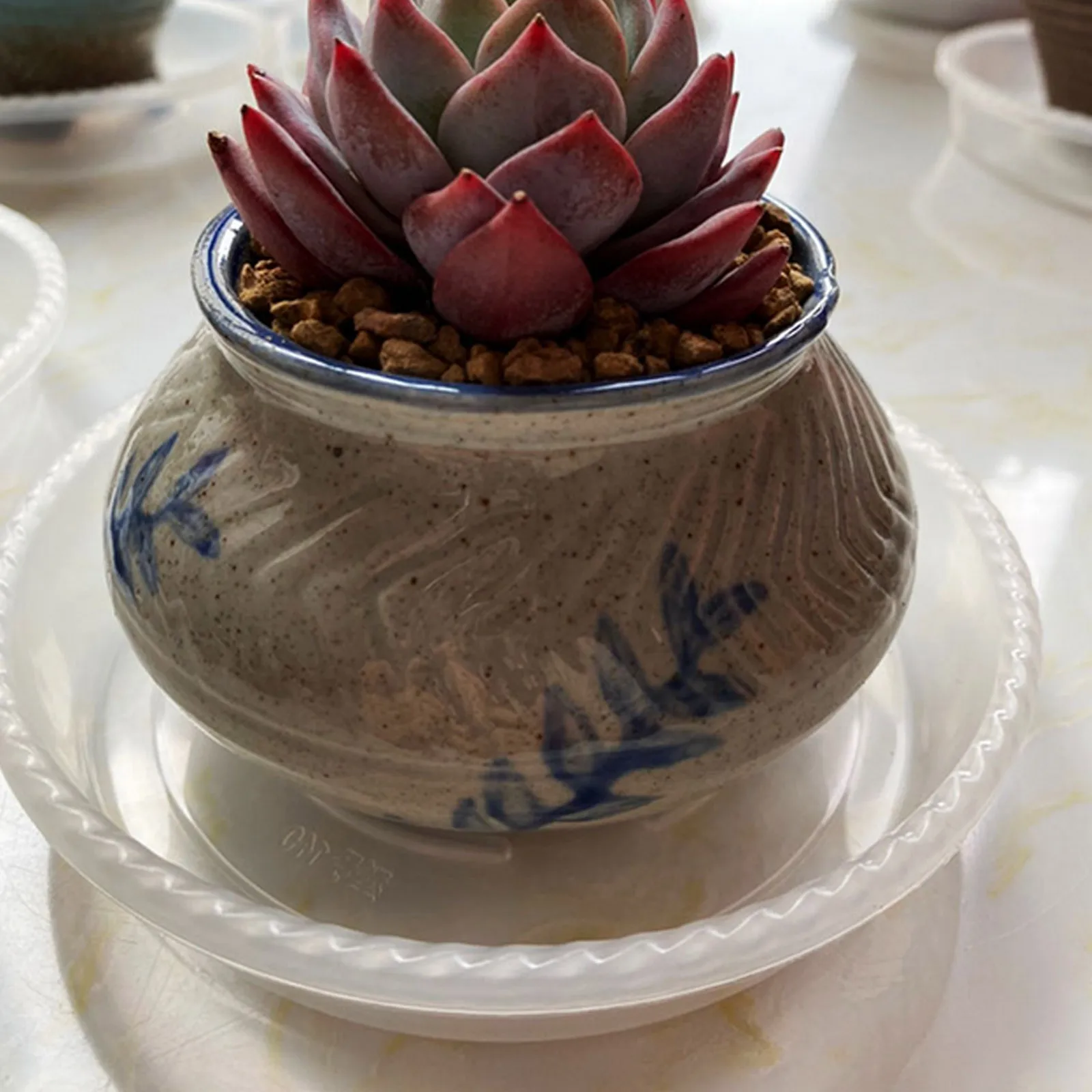 Behogar10pcs Пластик горшка блюдце прозрачные круглые поддоны для растений Holding