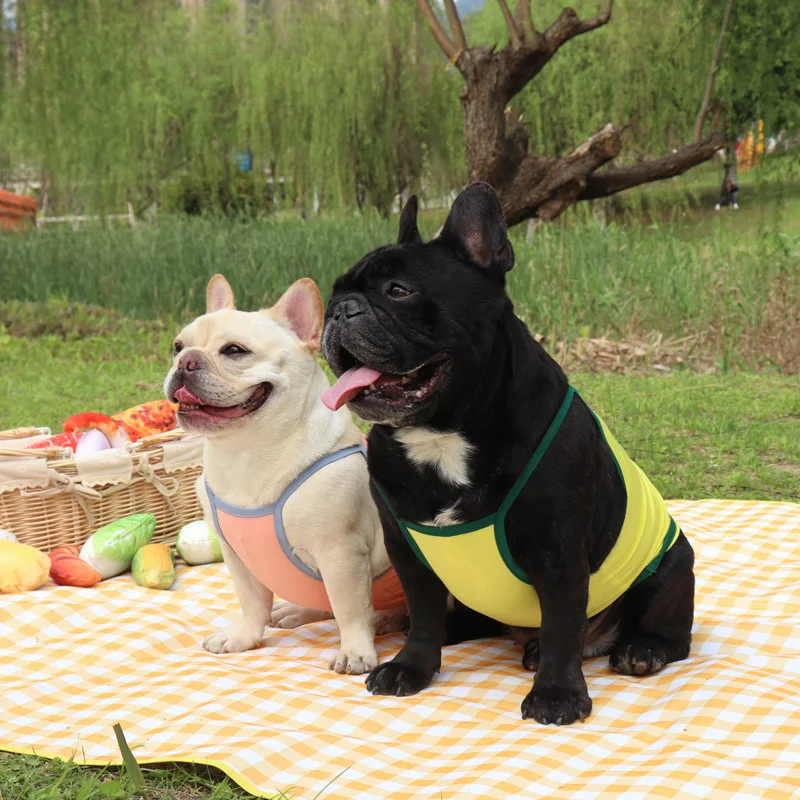 

Французская версия, летняя одежда для мопса, собака, пудель, Бишон, шнауцер, французская собака, костюм, жилет, юбка, Прямая поставка, костюмы ...