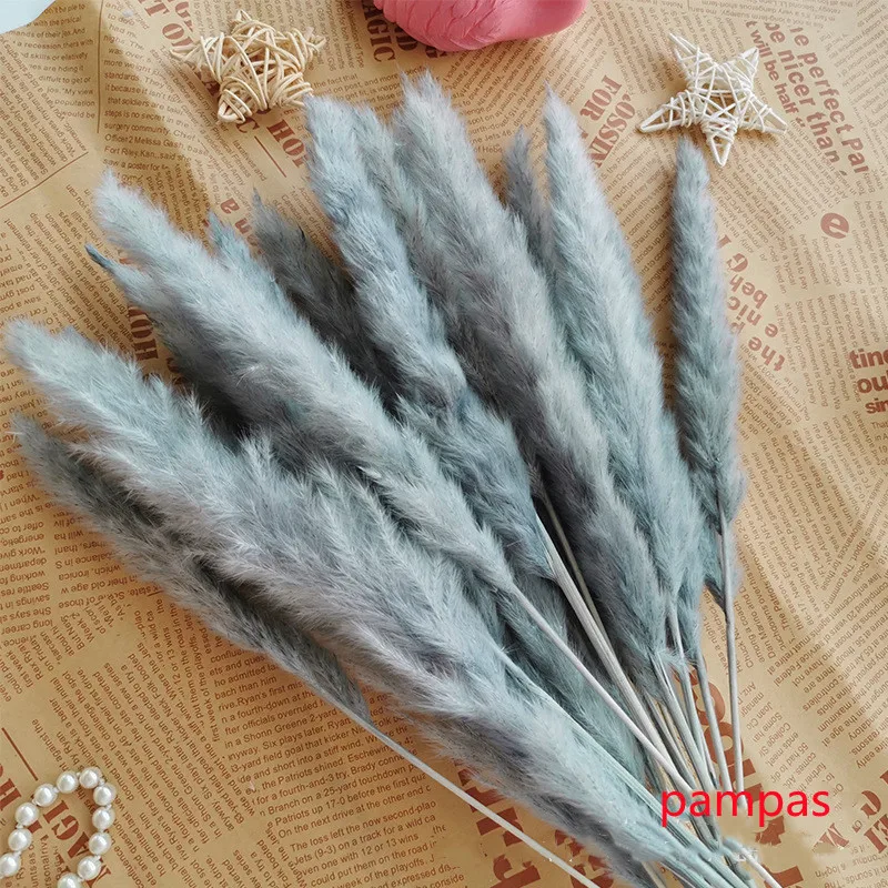 

15Pcs Natural Plants Real Dried Small Pampas Grass Home Wedding Decoration Table Centerpieces Party Backdrops Florist Supplies
