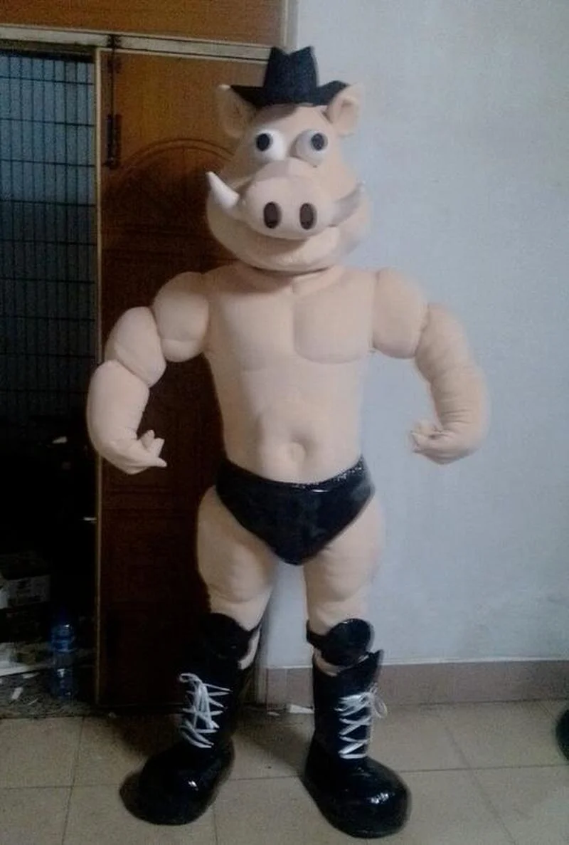 

Pig Muscle Wild Boar Mascot Handmade Costume Set Cosplay Party Ad 2021
