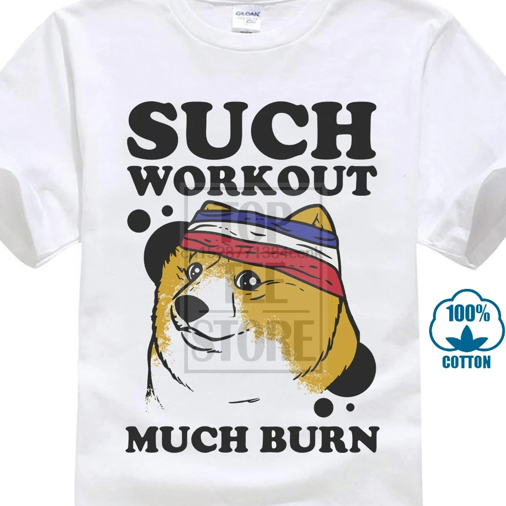 Индивидуальные футболки дизайн весна лето Doge собака породы Акита такая