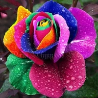 5d diy diamond painting colorful rose flower diamond embroidery full drill needlework mosaic crafts pattern home decor gift