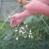 Изображение товара 3