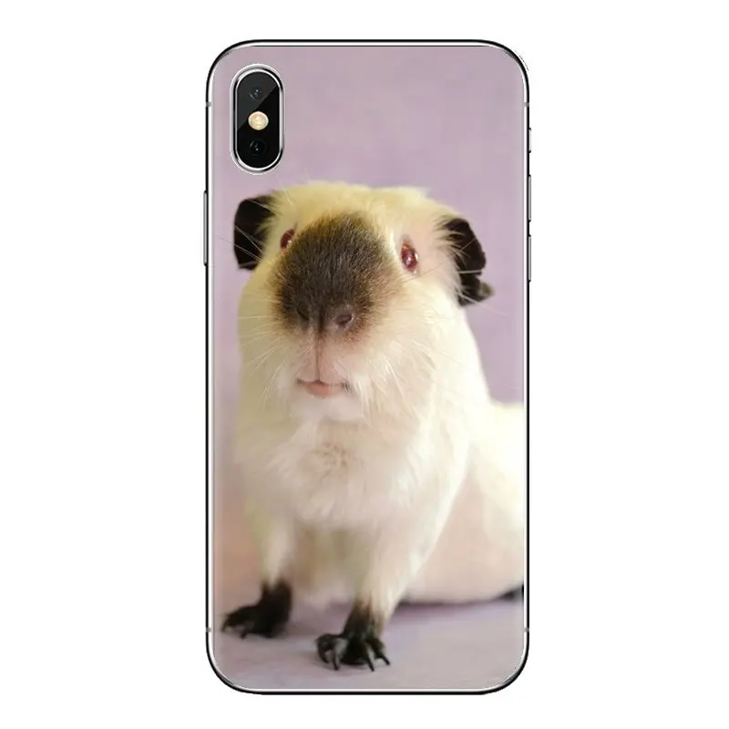 For Samsung Galaxy S2 S3 S4 S5 MINI S6 S7 edge S8 S9 Plus Note 2 3 4 5 8 Coque Fundas Silicone Phone Case cute animal Guinea pig |