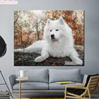 3D самоеда, алмазная вышивка, вышивка крестиком, живопись, бриллиантовая мозаичная Фигурка Животного Pet 5D, Diy, алмазная живопись, собака, дом, D подарок