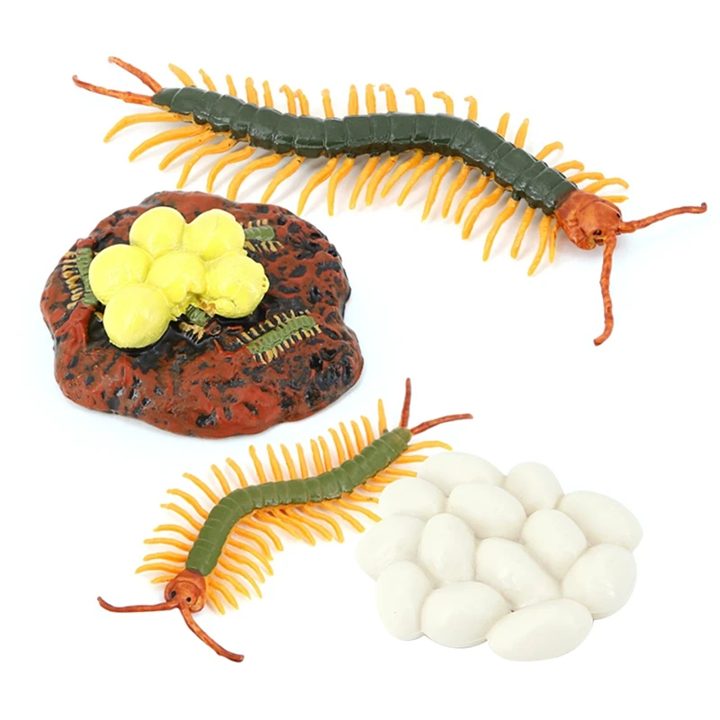 

4Pcs Centipede Animal Growth Model Insect Life Growth Cycle Model Growth Stage Lifelike Animal Life Cycle Model Set