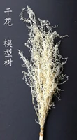 white scene architectural model sand vegetation thorns quinoa military scene diy production materials