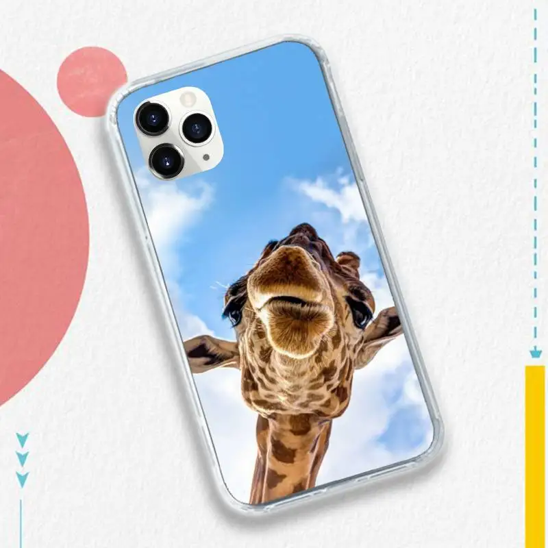 

Cute animal Zebra Giraffe Phone Case for iPhone 11 12 pro XS MAX 8 7 6 6S Plus X 5S SE 2020 XR