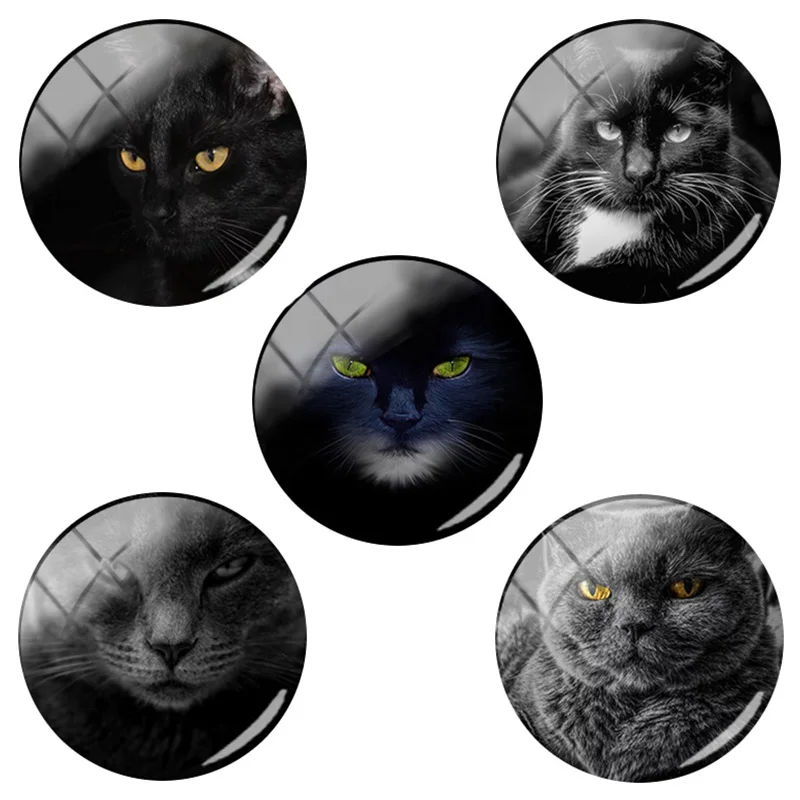 

TAFREE Black Cats Photos Jewelry Accessories Making Cameo Settings 12/15/16/18/20/25 mm Round Glass Dome For Pins HL49