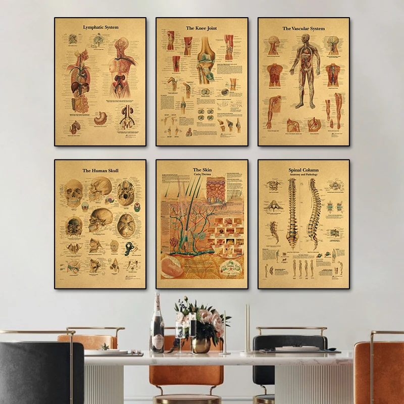 

The Body Structure Skeleton Nervous System Vintage Poster Medical Decoracion Painting Wall Art Painting Canvas Wall Stickers