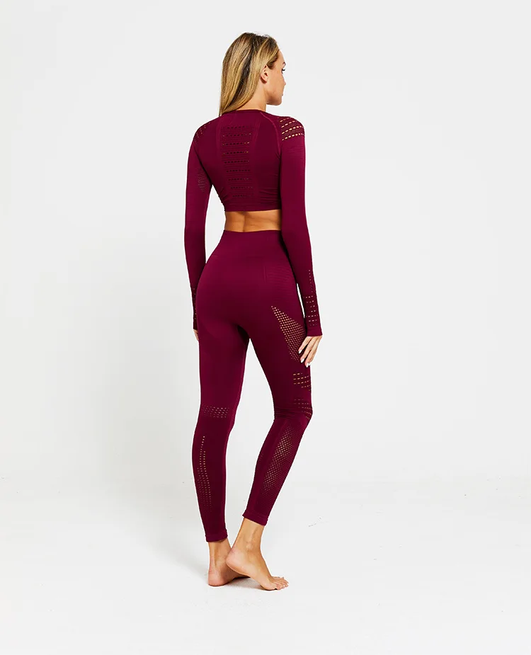 Wine Red Suit Безупречный бесшовный спортивный костюм для женщин, трикотажный комплект для тренажерного зала и тренировок, укороченный Топ с длинным рукавом для фитнеса и Компрессионные Леггинсы, комплект из 2 предметов для йоги - Цвет: Wine Red Suit