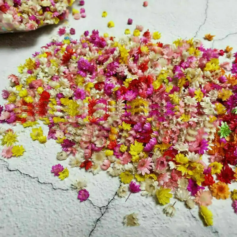 

200pc Real Dried Flowers For Diy Art Craft Epoxy Resin Candle Making Jewellery Glass Cover Ball Filler Dried Flowers Accessories