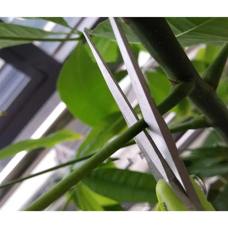 1 шт. садовые ножницы сбор фруктов бытовые комнатные отделка сорняков ветви для