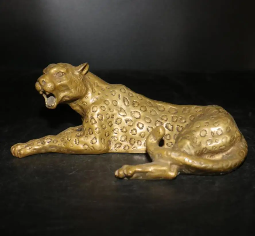 Ароматизатор в машину леопард. Таинственный леопард (dvd). Портмоне с леопардом. Южноафриканский рэнд банкноты. Дымчатый леопард.