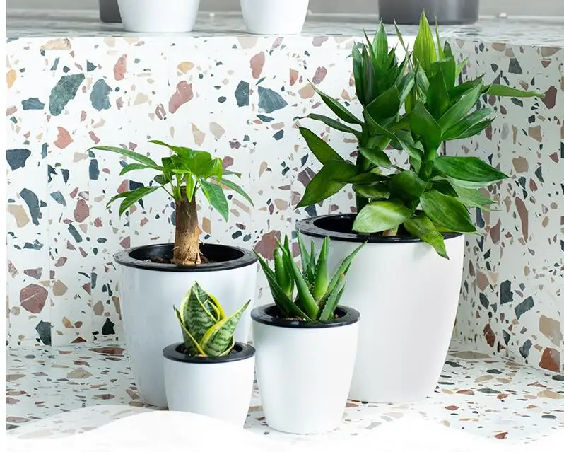 

Lazy automatic water absorbing pots clearance plastic resin white minimalist imitation ceramic green radish meaty home indoor