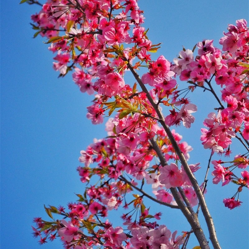 

Geometric Chest Necklace Body Chains Body Chains Back Body Chains Thigh Crystal Tassel Body Chains Inner Wear Leg Bracelet