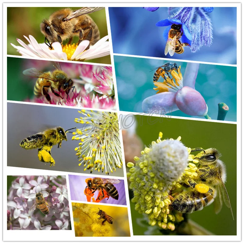 

DIY Diamond Painting Bee Cross Stitch Home Decoration 5D Animals Embroidery Mosaic Picture Painting By Numbers Wall Sticker
