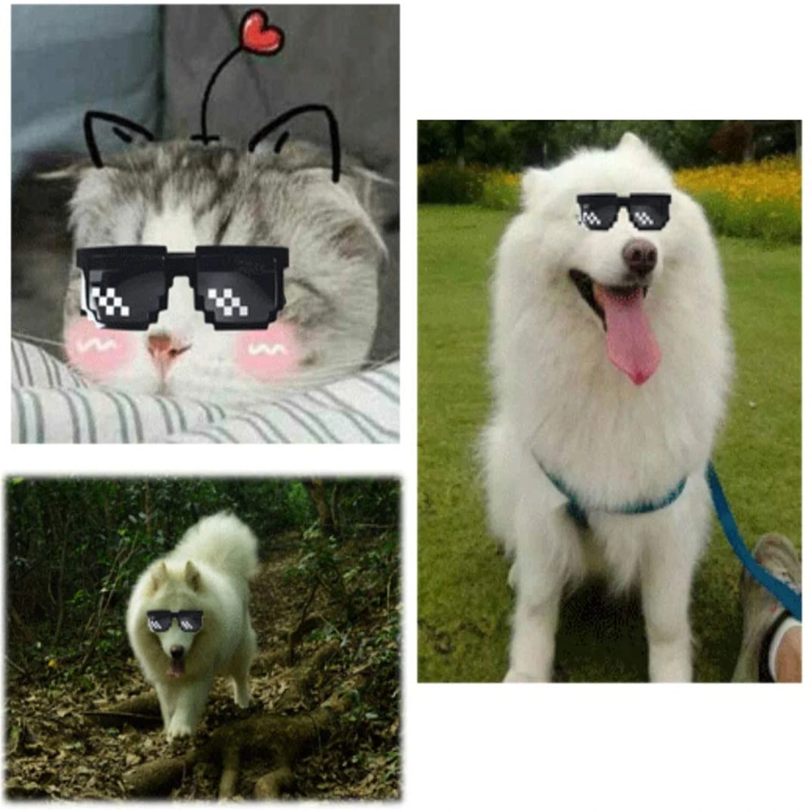 

Thug Life Sunglasses, Men Women Glass 8 Bit Pixel Mosaic Glasses Photo Props Unisex Sunglass Toy Thug Life Sunglasses Practical