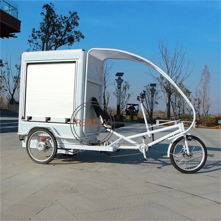 6 Speed Hydraulic Disc Brakes Large Cargo Box Urban Last Mile Delivery Trikes Electric Tricycle | Food Processors