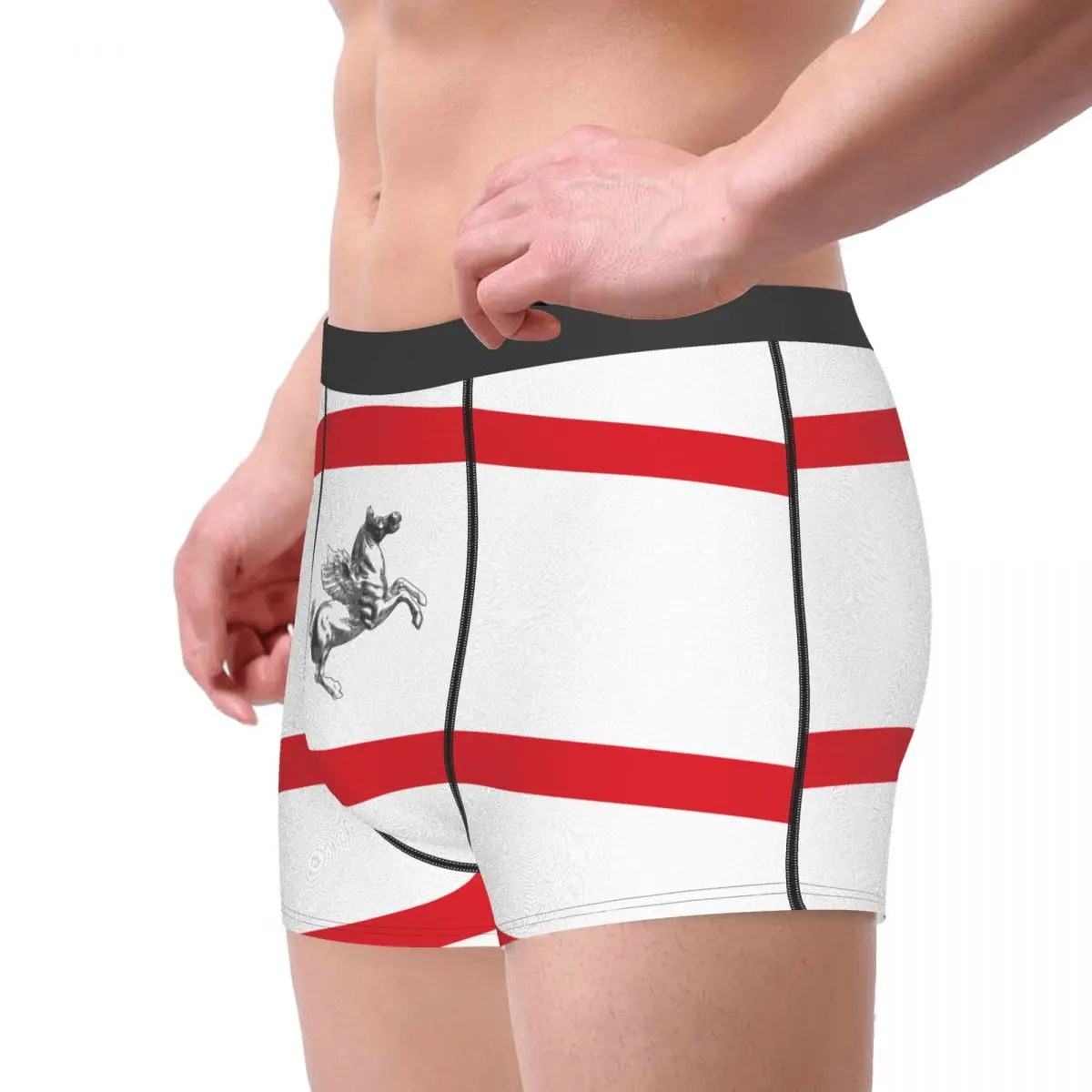 Flag Of Tuscany Men's Boxer Briefs regions of Italy Funny Novelty Men's boxer leggings