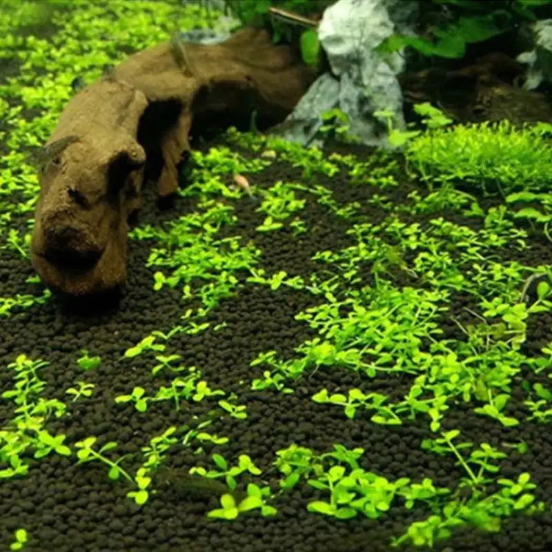 500 г водный поплавок трава глина аквариумная почва для водорослей кровать семена